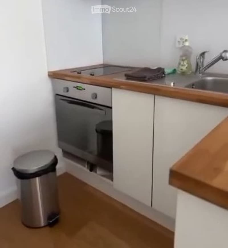 Studio-Apartment zu vermieten Birmensdorferstrasse 483 (3)