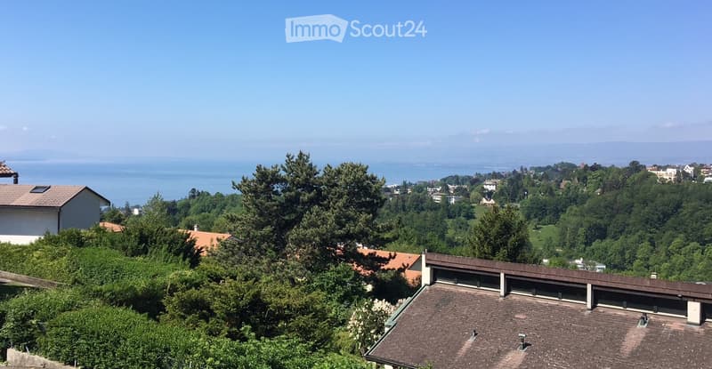 Lumineux 4 pièces - 100 m2 - vue - calme - bien situé (5)
