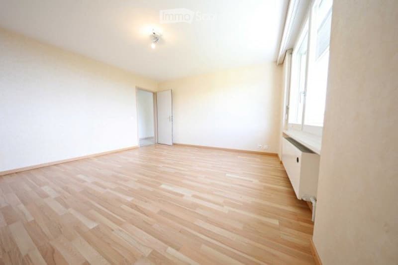 Lumineux 4 pièces - 100 m2 - vue - calme - bien situé (4)
