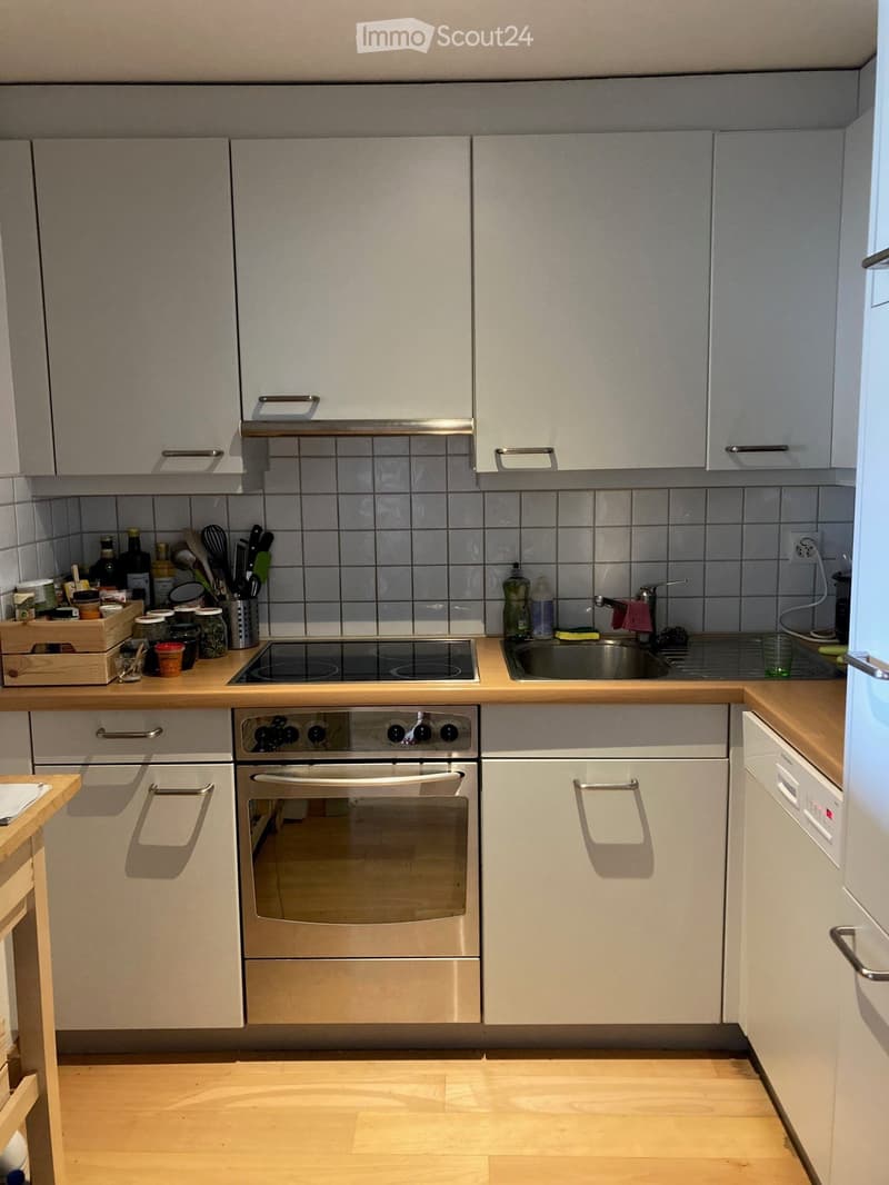 Charmant appartement de 3 pièces sous les combles (3)