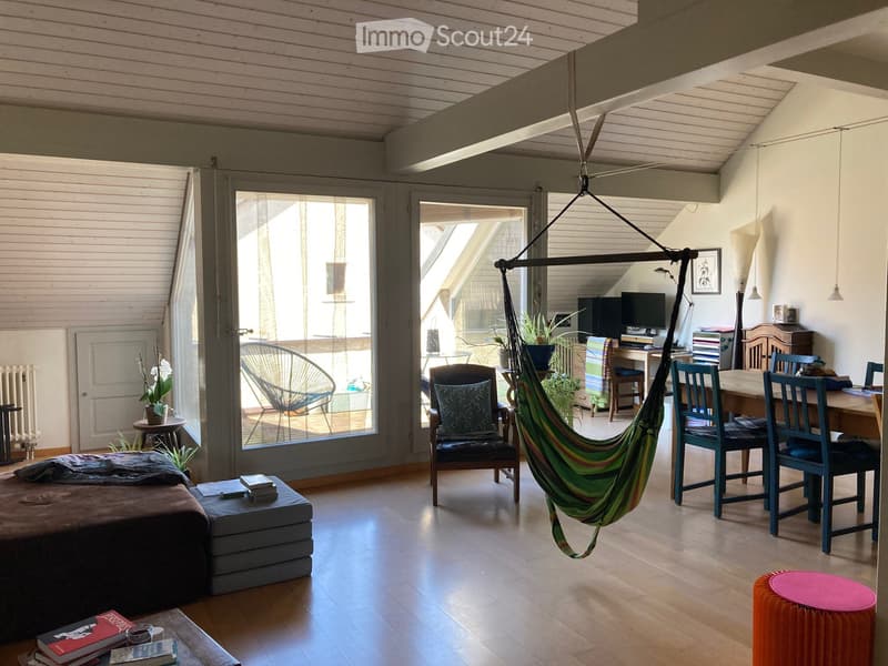 Charmant appartement de 3 pièces sous les combles (1)