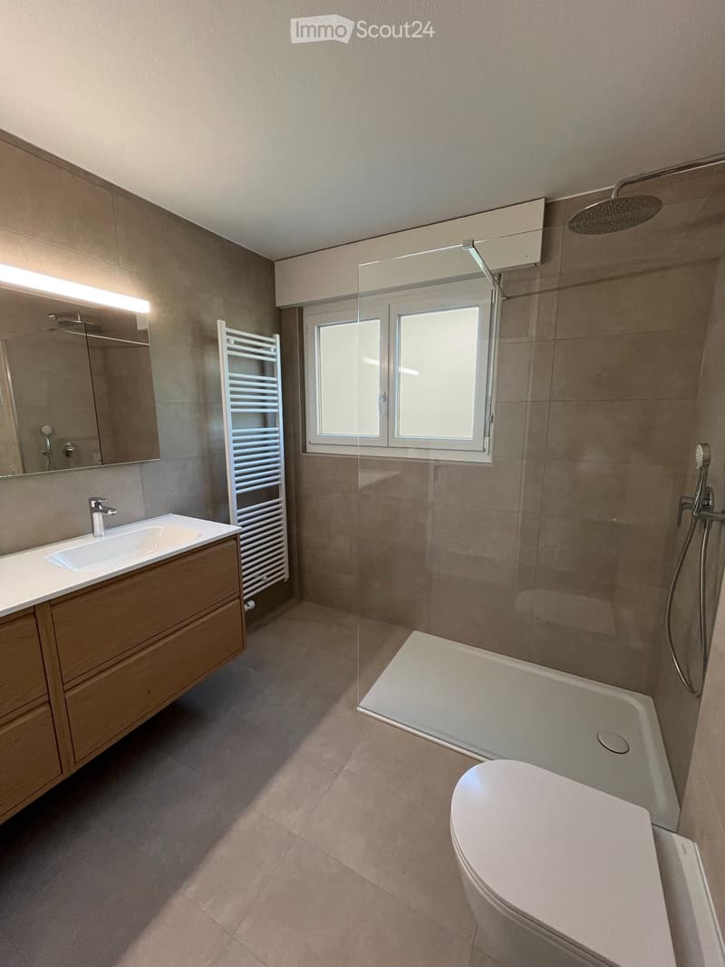 Appartement 4.5 pièces entièrement rénové Le Landeron (5)