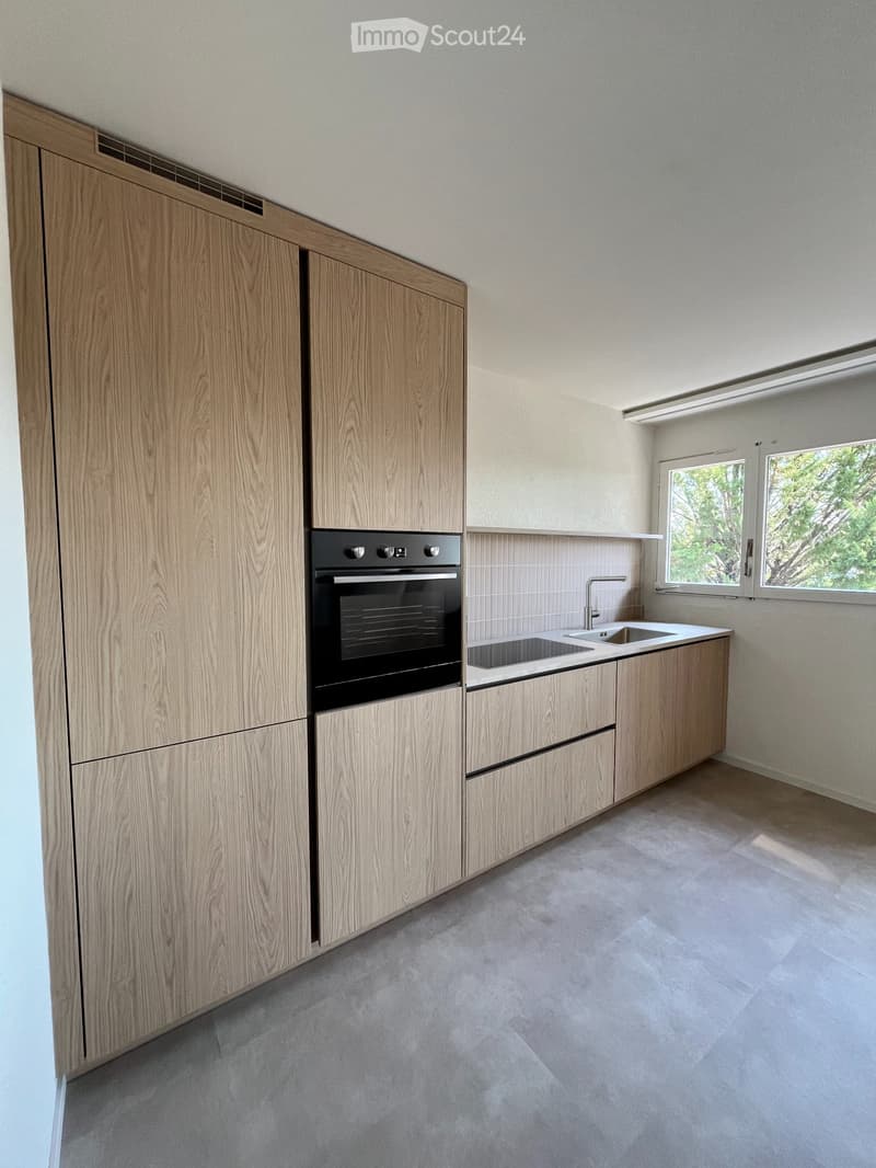 Appartement 4.5 pièces entièrement rénové Le Landeron (4)