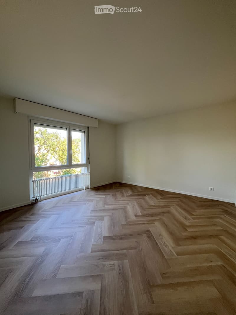 Appartement 4.5 pièces entièrement rénové Le Landeron (3)