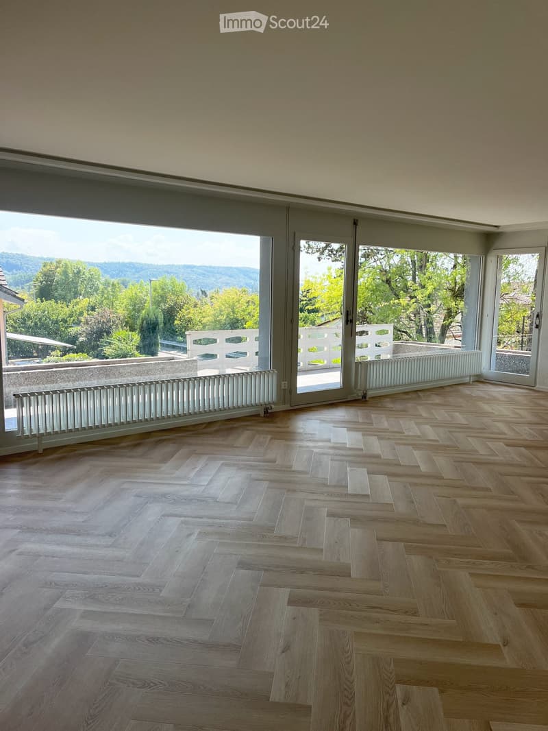 Appartement 4.5 pièces entièrement rénové Le Landeron (1)