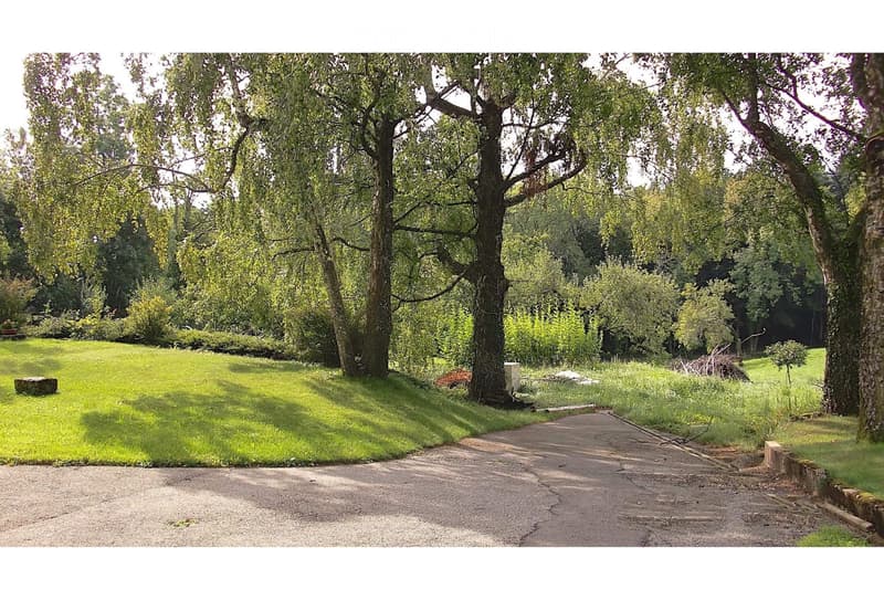 Spacieux 3,5 pièces rénové, jardin, cave, garage et parking (5)