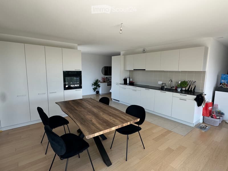 Magnifique appartement neuf lumineux (2)