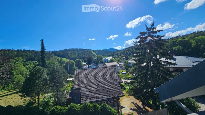 Chambre Sous Location -ST CERGUE (VD) (2)