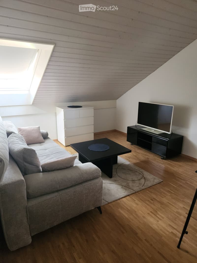 Superbe appartement de 4,5 pièces avec balcon et vue sur lac (4)