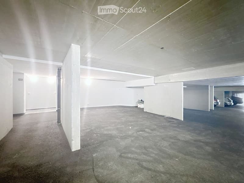 Appartement/maison (4)