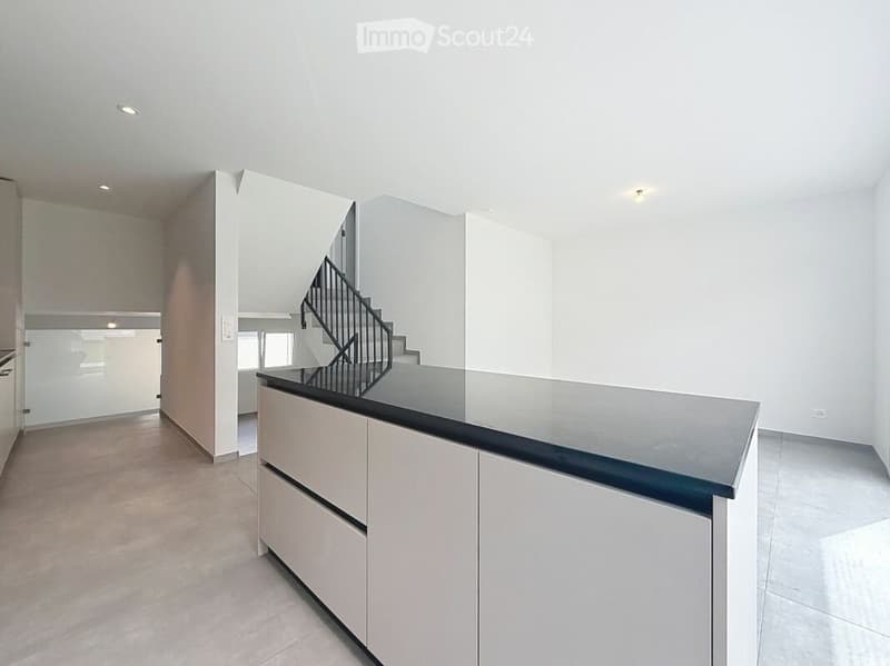 Appartement/maison (3)