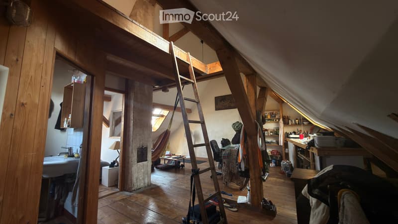 2.5p en attique avec mezzanine grande maison coloc (4)