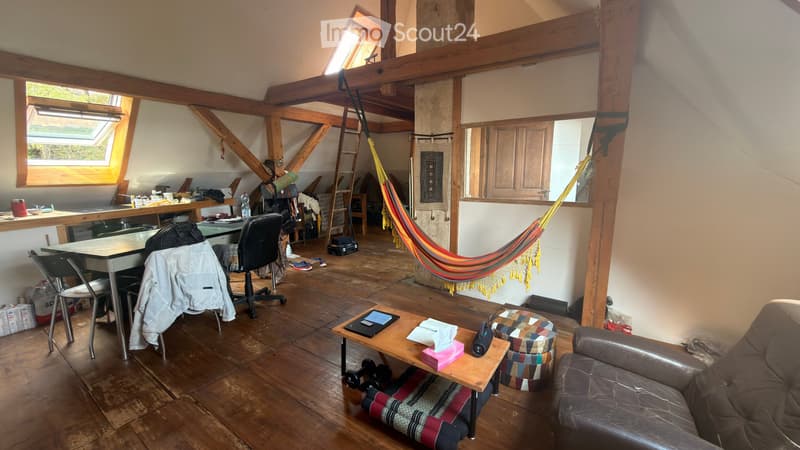 2.5p en attique avec mezzanine grande maison coloc (1)
