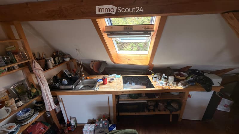 2.5p en attique avec mezzanine grande maison coloc (2)