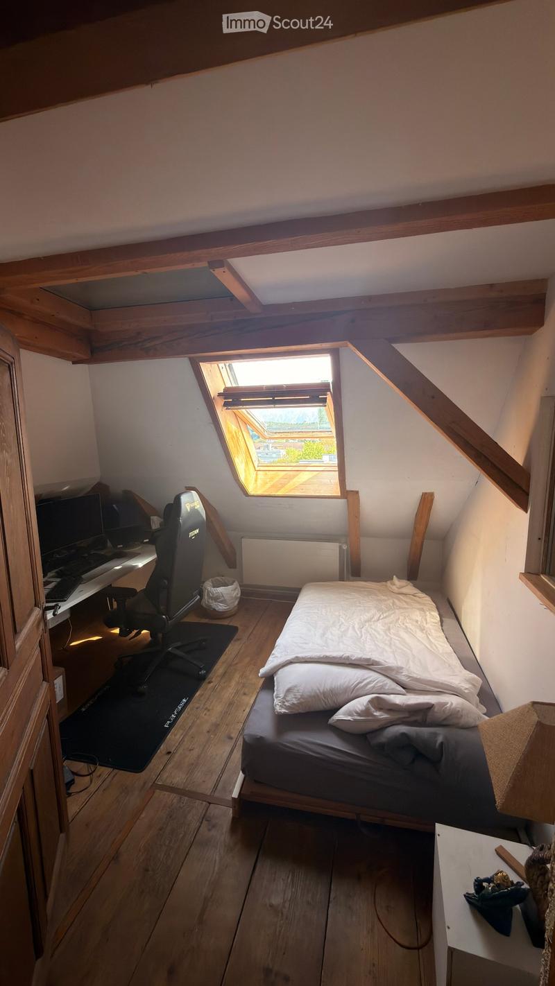 2.5p en attique avec mezzanine grande maison coloc (3)