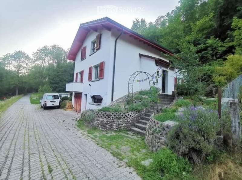 Une petite chambre pour amoureux de la nature ! (1)