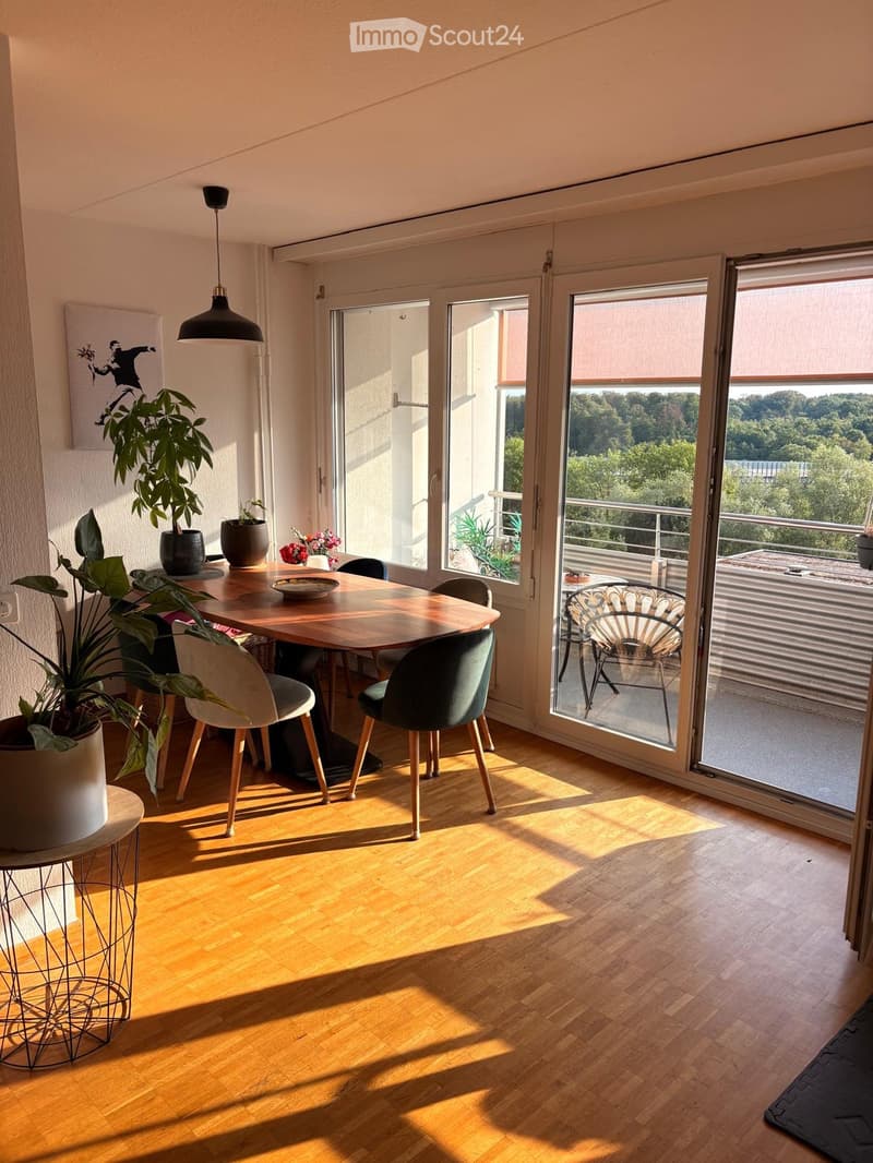 Reprise de bail au 01 novembre appartement 3.5 Lausanne (3)