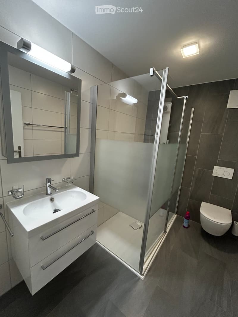 FRIBOURG Rare 5.5 pièces 158m² - terrasse vitrée 42m² (4)