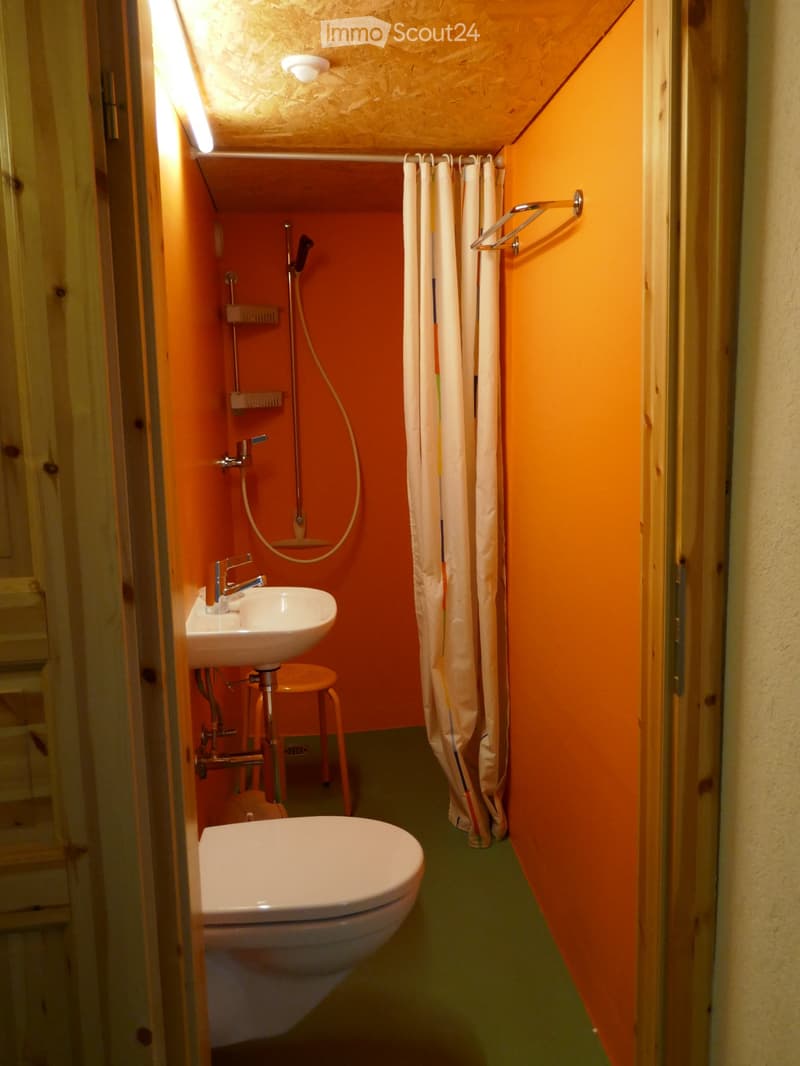 Chalet le Martagon (4)
