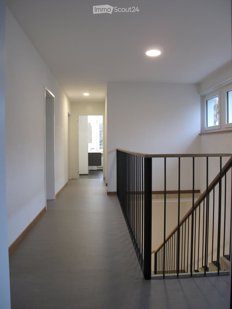 Freistehendes 6 1/2-Zimmer-Haus in Stadtnähe (10)