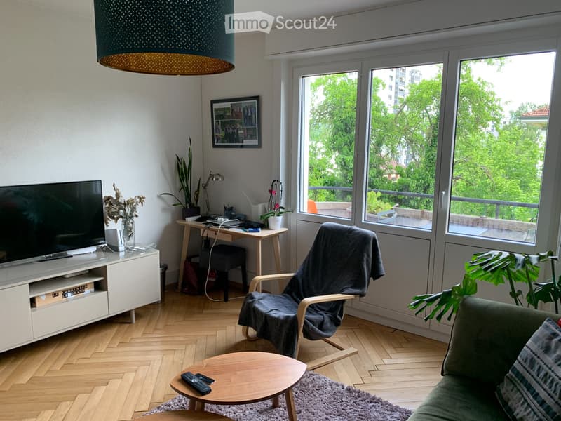 Charmant appartement lumineux 2,5 pièces (5)