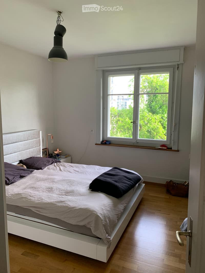 Charmant appartement lumineux 2,5 pièces (4)