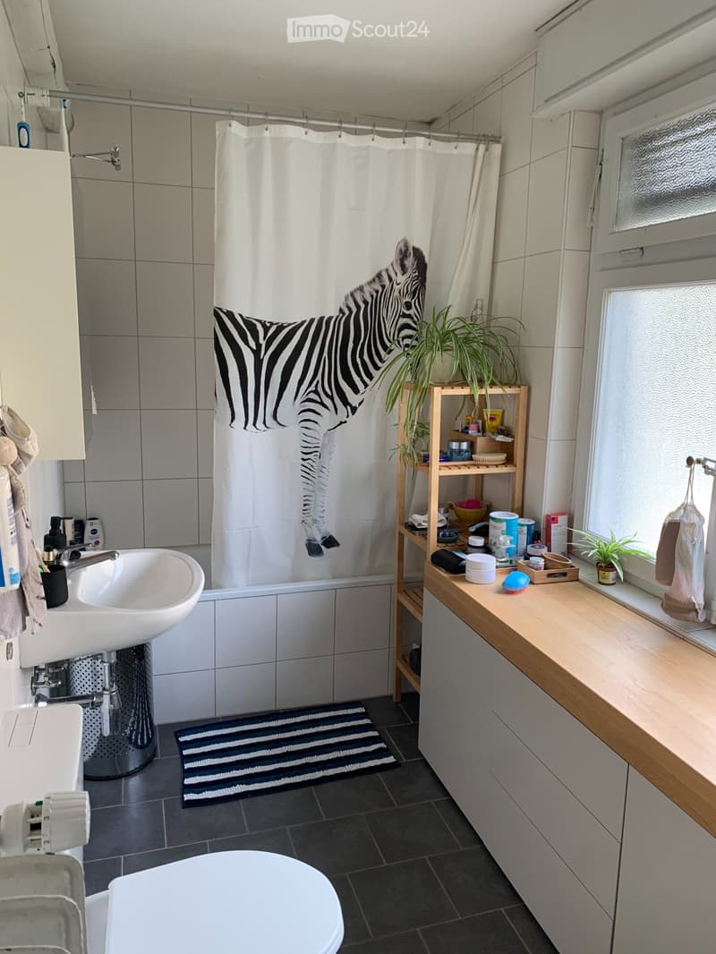 Charmant appartement lumineux 2,5 pièces (3)