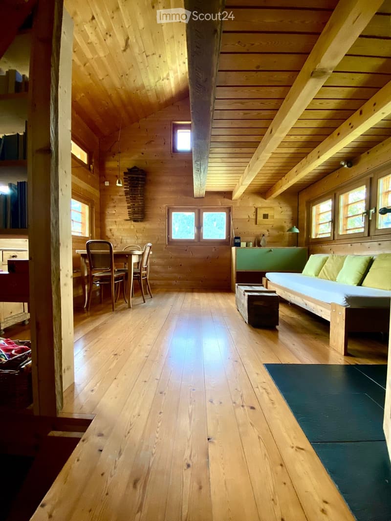 Chalet à louer en pleine nature (3)