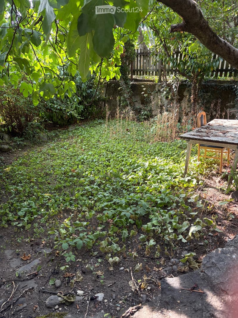 Appartement à louer (4)