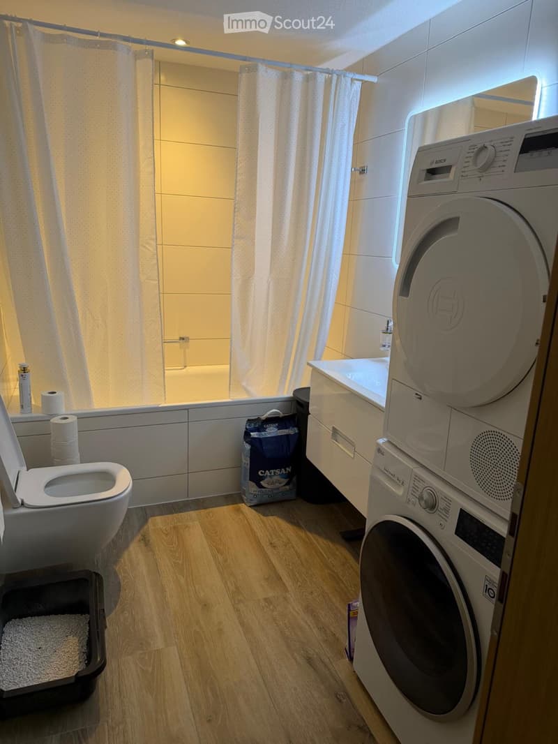 Bail à reprendre 3.5 pièces 85 m2 (3)