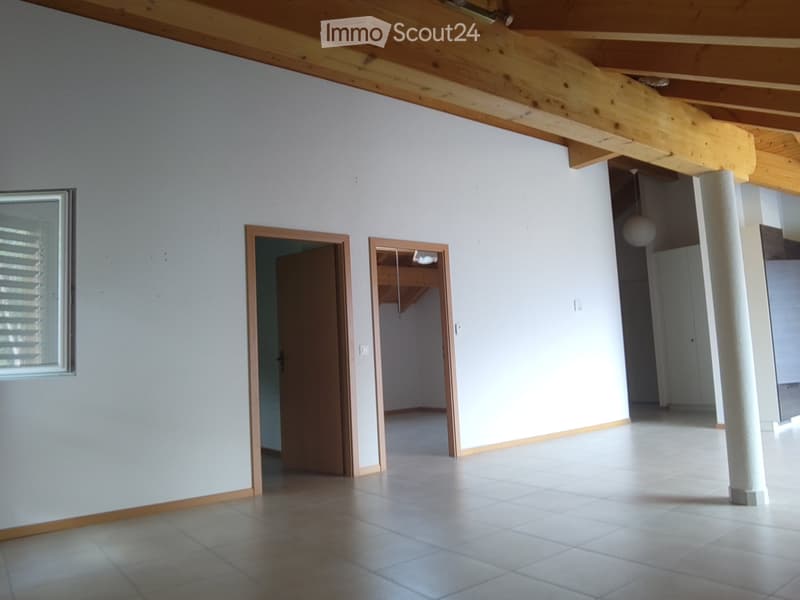 Mex : Appartement 3,5 pièces à louer (5)