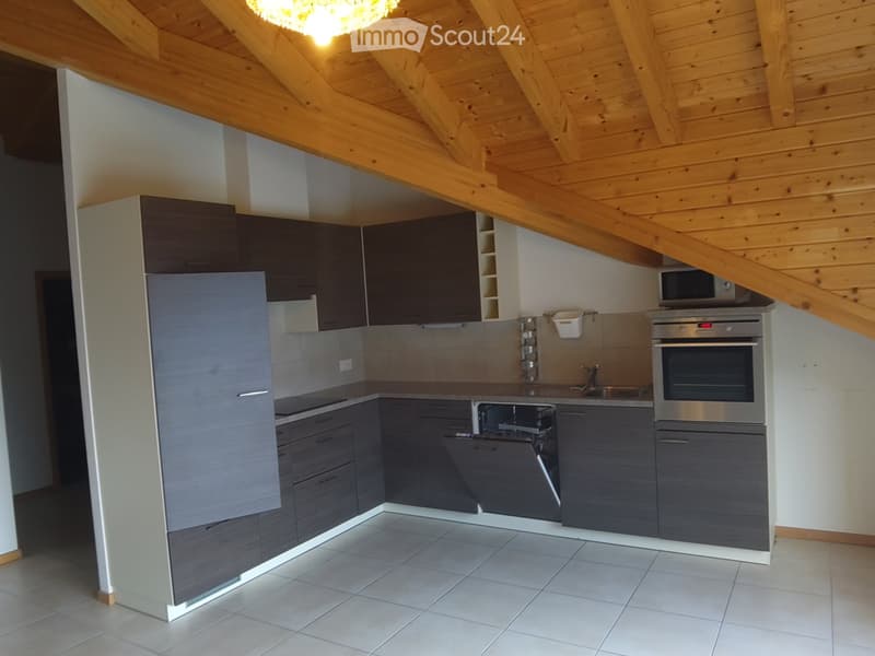 Mex : Appartement 3,5 pièces à louer (7)