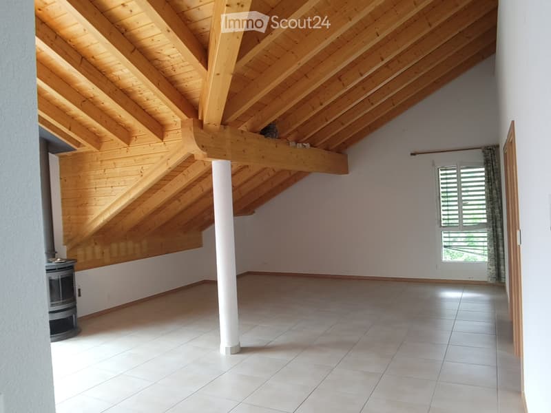 Mex : Appartement 3,5 pièces à louer (2)