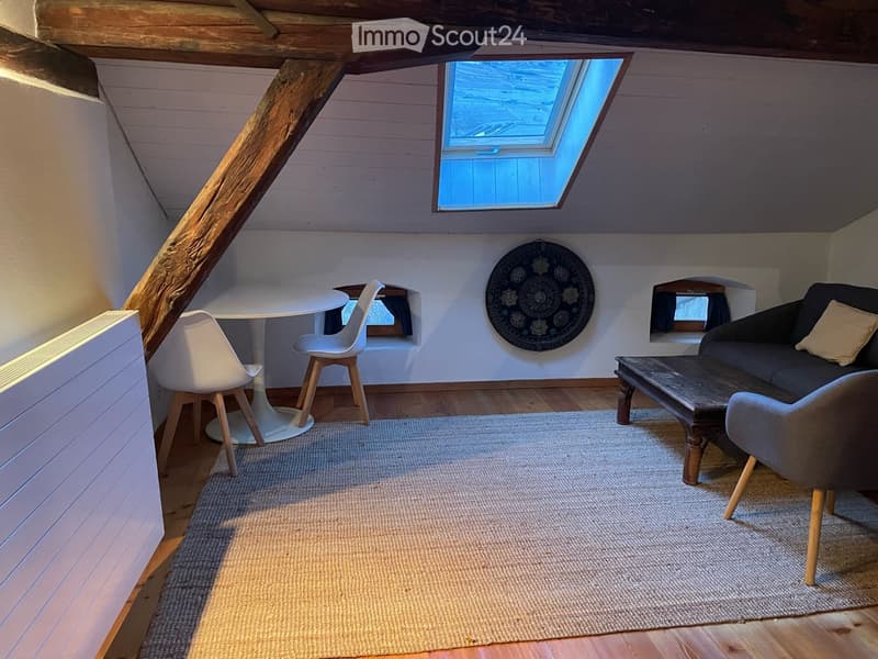 Studio meublé à louer (1)