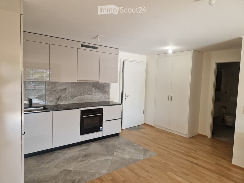A louer: appartement neuf 2,5 pièces, 58 m² et 10 m² balcon (4)
