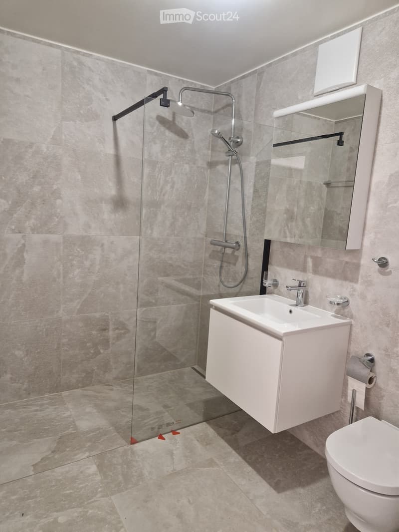 A louer: appartement neuf 2,5 pièces, 58 m² et 10 m² balcon (2)