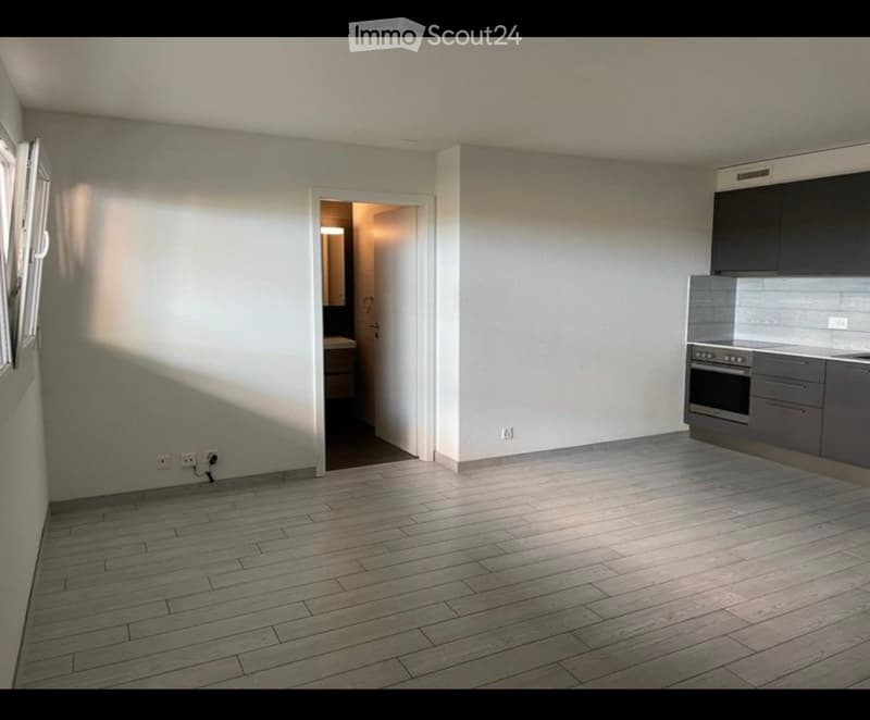 Studio à louer (Vétroz ) (2)