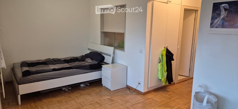 Reprise de bail appartement de 1.5 pièce (2)