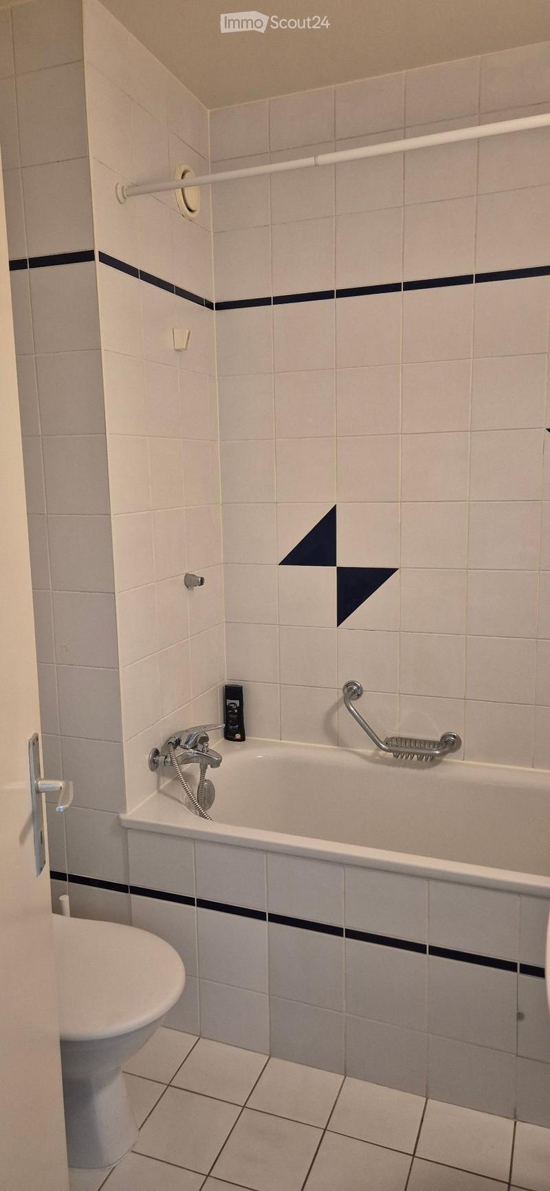 Reprise de bail appartement de 1.5 pièce (3)