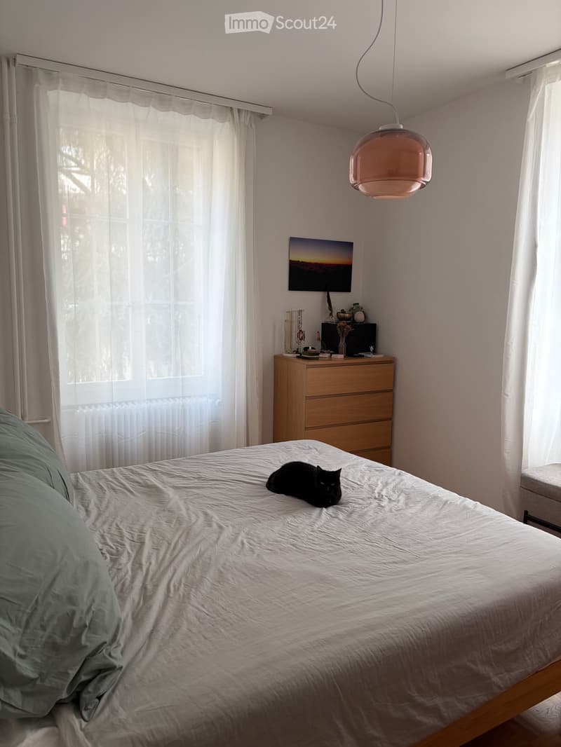 Très charmant appart. de 3.5 dans le quartier de Beauregard (5)