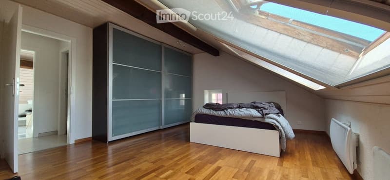 Appartement 3.5 pièces sous les combles (2)
