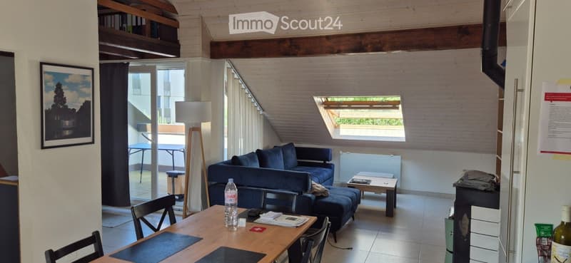 Appartement 3.5 pièces sous les combles (3)