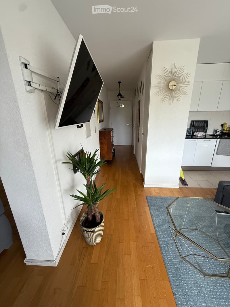 À SOUS-LOUER Appart 2 pièces meublé au Mont-sur-Lausanne (5)