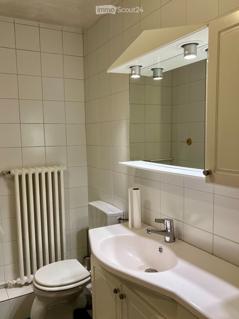 Appt caractère 150 m2 avec terrasse/vue lac unique -6-8 mois (9)