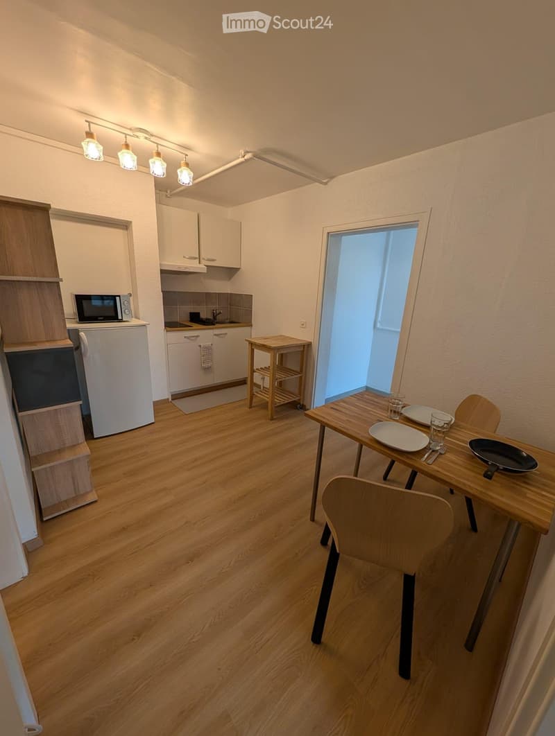 Appartement rénové, meublé 2 pièces avec terrasse à Bussigny (5)