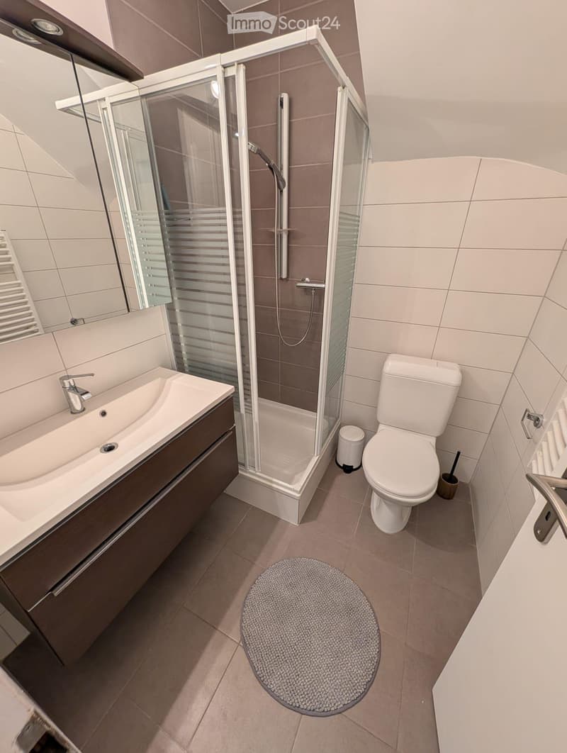 Appartement rénové, meublé 2 pièces avec terrasse à Bussigny (2)