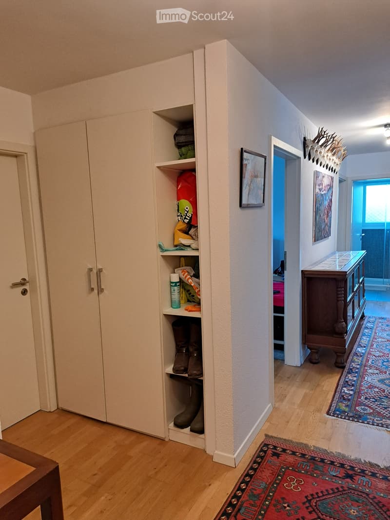 Magnifique appartement 4.5 pièces, grande terrasse de 35 m2 (3)