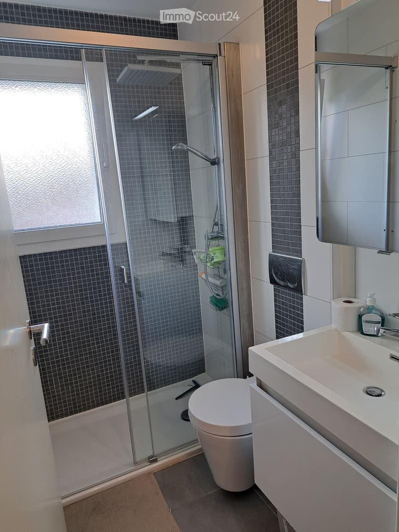 Magnifique appartement 4.5 pièces, grande terrasse de 35 m2 (2)