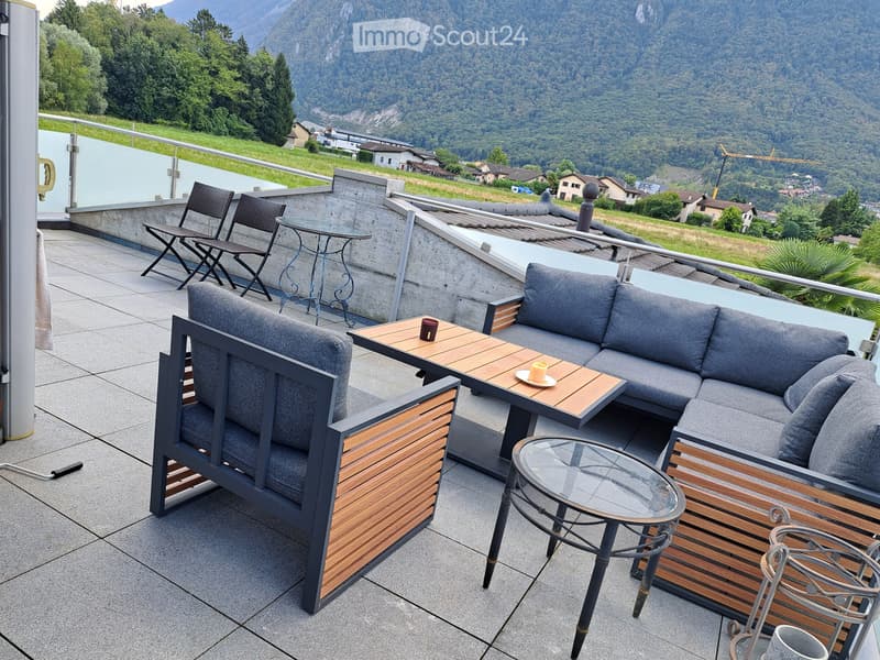Magnifique appartement 4.5 pièces, grande terrasse de 35 m2 (4)