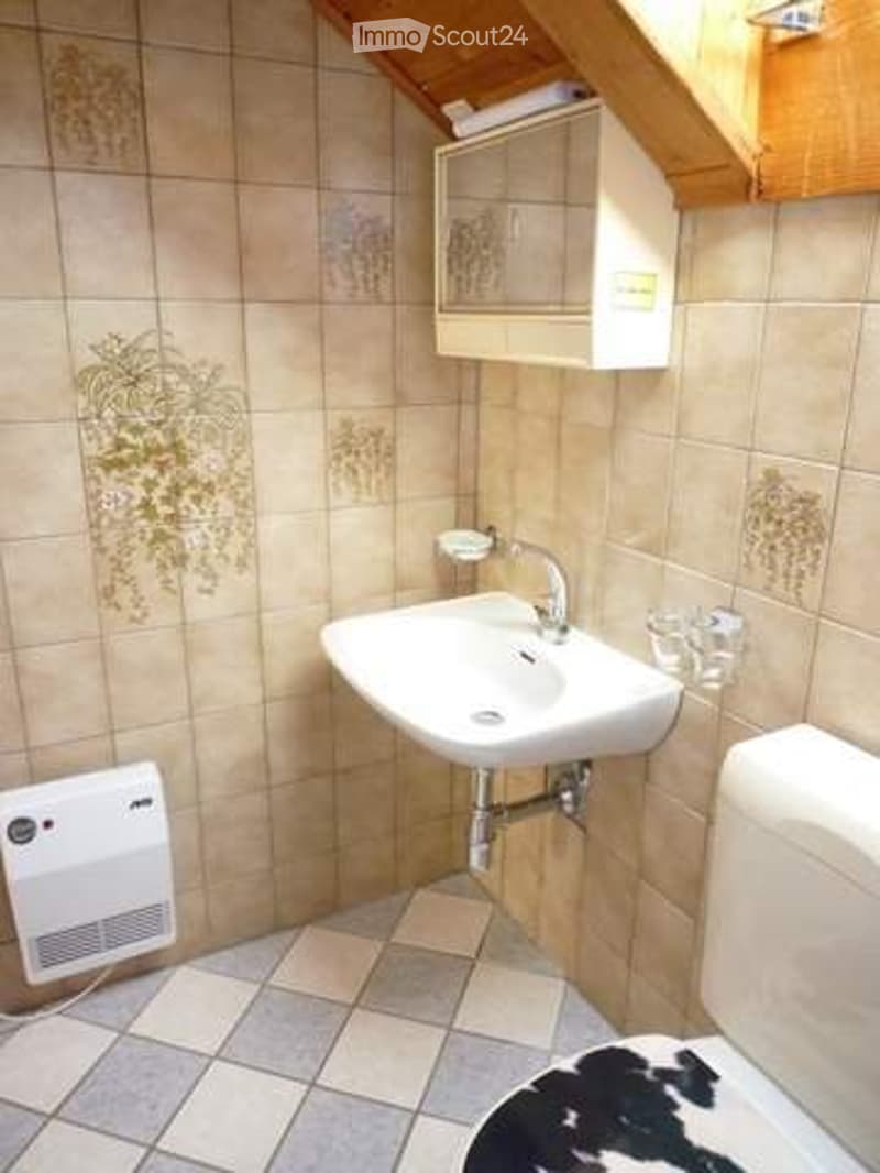 2-Zimmer Wohnung mit grosszügigen Balkon (5)